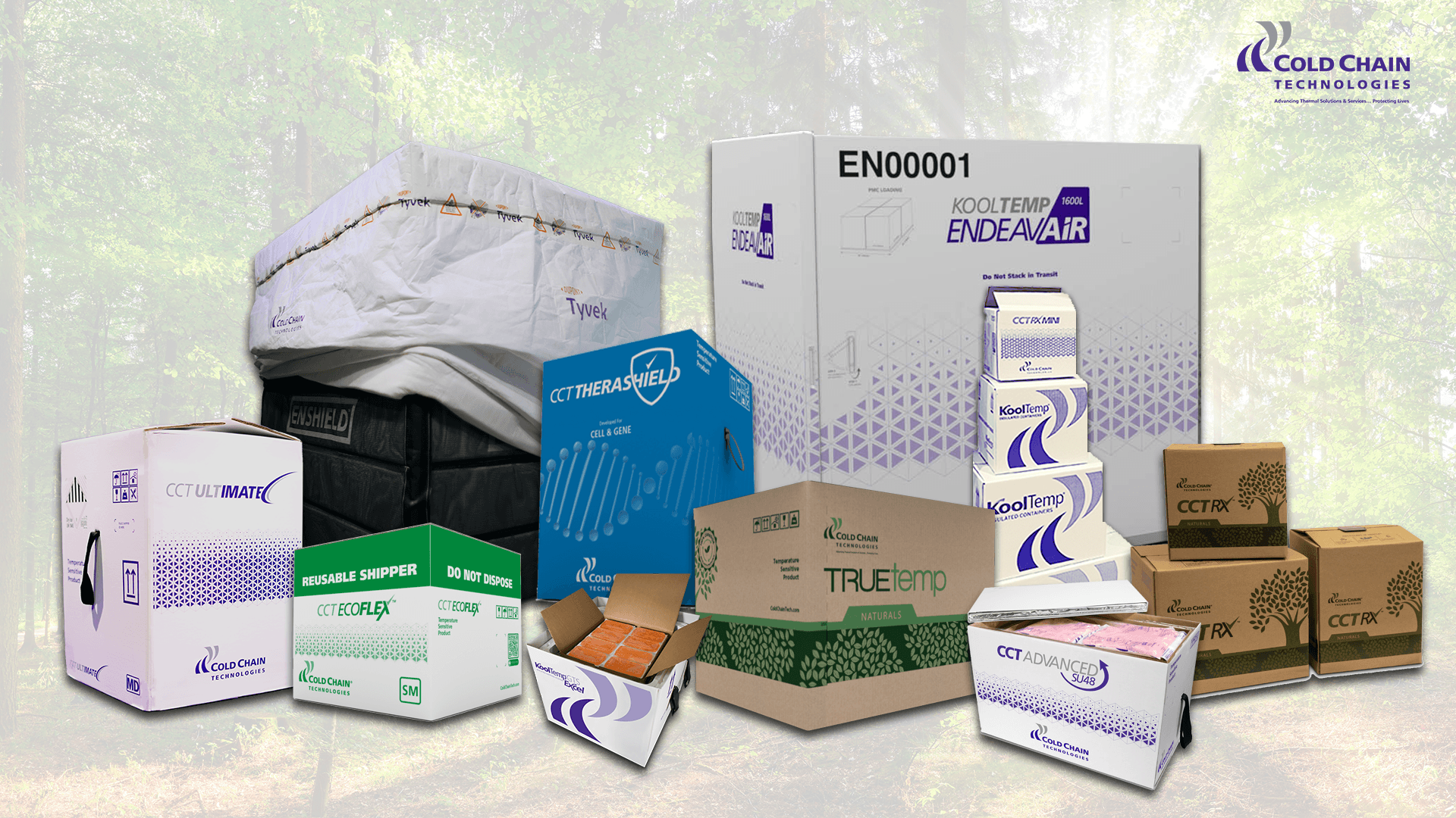 Guide to Thermal Shipping Solutions for Cold Chain Products Cold